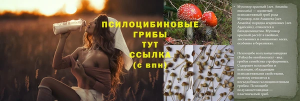 МДМА Пересвет