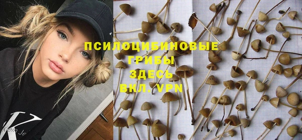mix Переславль-Залесский