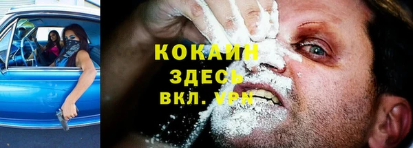 гашик Покровск