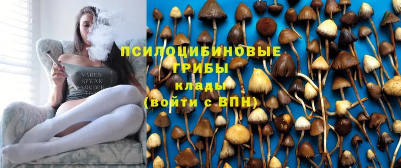 Псилоцибиновые грибы Magic Shrooms  купить наркотики сайты  Рыльск 