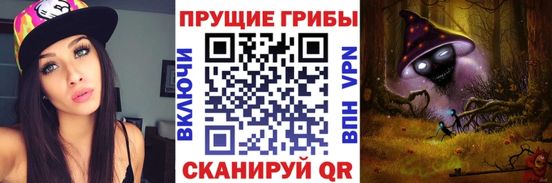 Галлюциногенные грибы Psilocybe  маркетплейс как зайти  Рыльск 